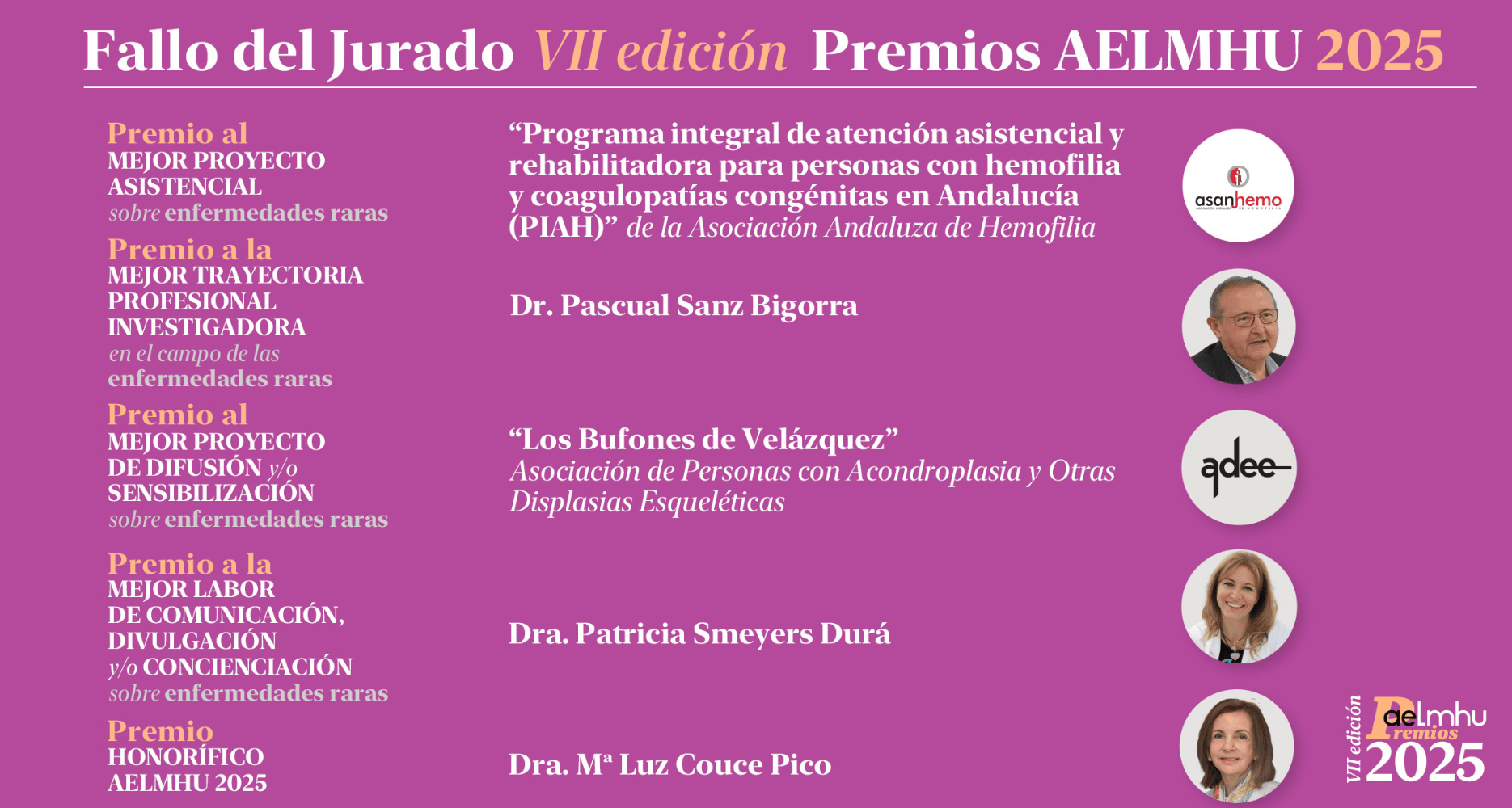 Fallo Jurado VII edición Premios AELMHU